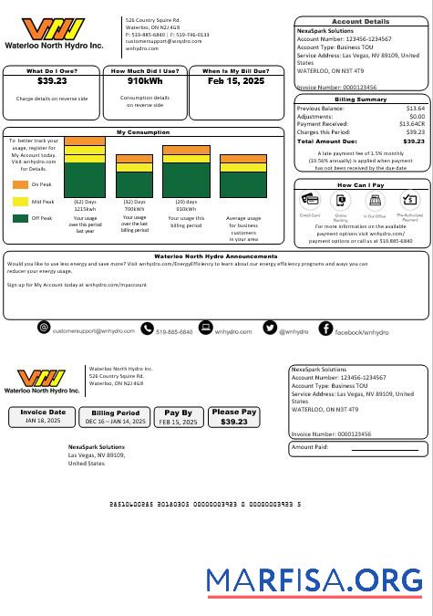 Printable USA Nevada Waterloo North Hydro business utility bill template in Word and PDF formats